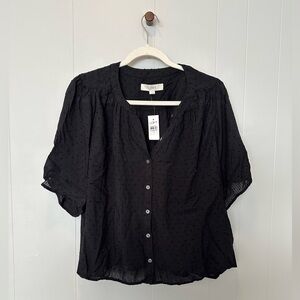 NWT Loft poplin Blouse